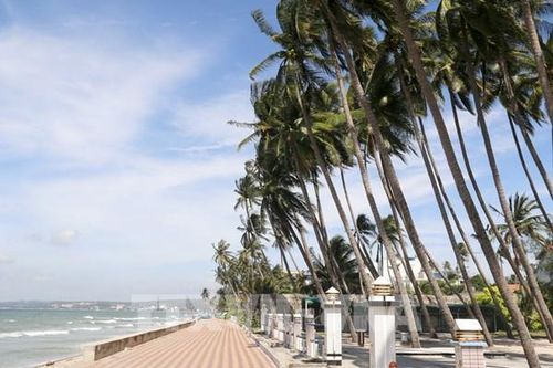 Vũ điệu dừa bên sóng biển Mũi Né