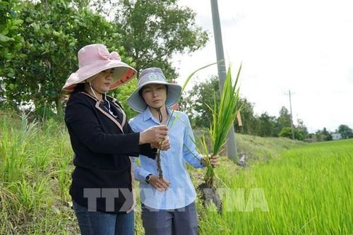 Hoàn thiện cơ chế cho khuyến nông trong bối cảnh mới
