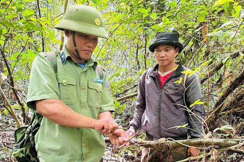 Chung sức giữ rừng, bảo vệ muông thú