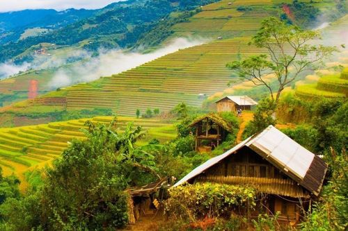 Quê hương