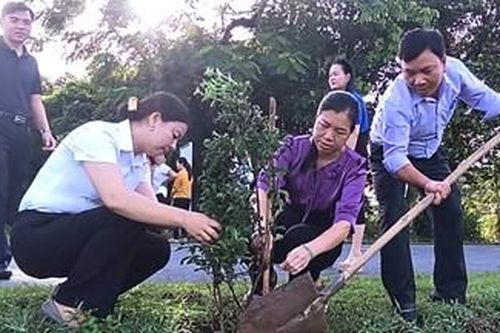 Phong Thái phát động xây dựng tuyến đường hoa