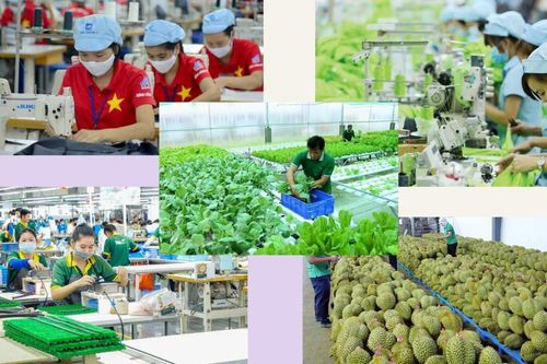 Phát triển kinh tế tư nhân gắn với tăng trưởng xanh: Cú hích chính sách và bài toán thực thi