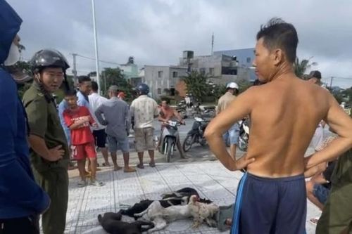 Truy xét 2 cẩu tặc manh động cướp xe tẩu thoát