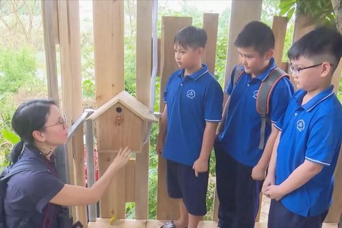 Dự án nghệ thuật dùng AI 'giải mã' tiếng chim