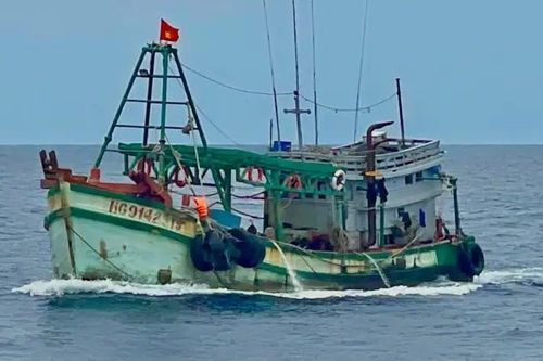 Kịp thời cấp cứu ngư dân bị rắn biển cắn
