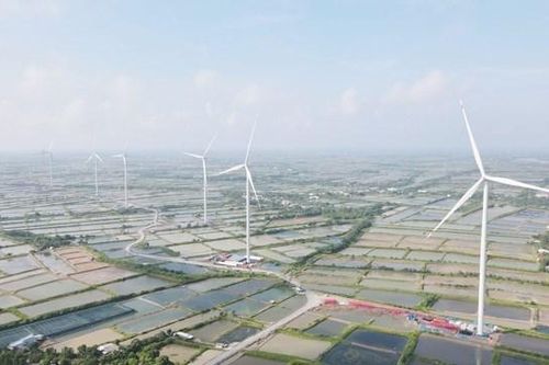 Điện gió Hòa Đông 2: Lỗ lũy kế hơn 490 tỷ đồng, nợ ngân hàng gấp 19 lần vốn chủ sở hữu