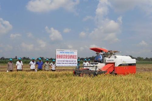 Tân An đất nghĩa đất tình
