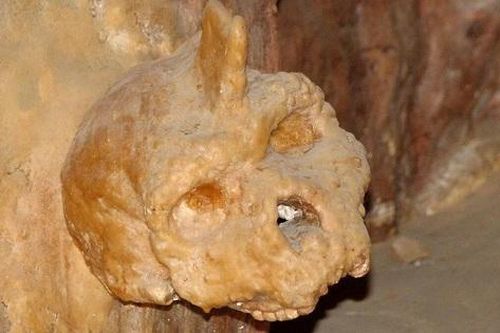 Hộp sọ người bí ẩn treo trên măng đá: Không phải loài chúng ta