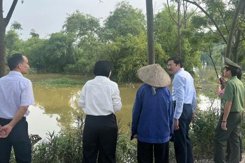 Cần sự quyết liệt, đồng bộ hơn nữa trong xử lý các vi phạm pháp luật về đê điều