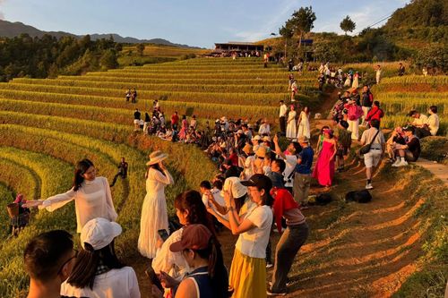'Lạm phát nàng thơ' tại Mù Cang Chải