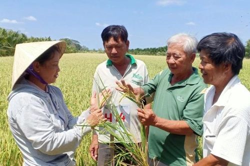 Bài 1: Rời quê lên thành phố