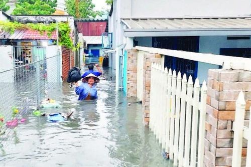 Thích ứng biến đổi khí hậu thuận thiên, bền vững