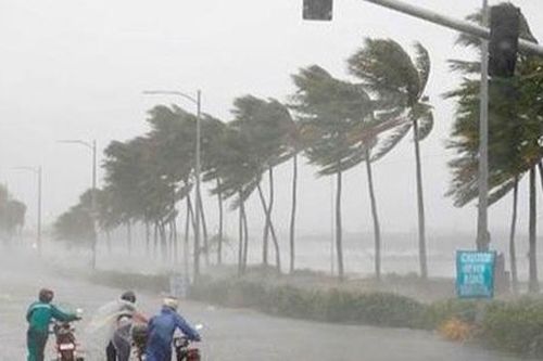 Sẵn sàng dạy học trực tuyến khi bão số 9 diễn biến phức tạp