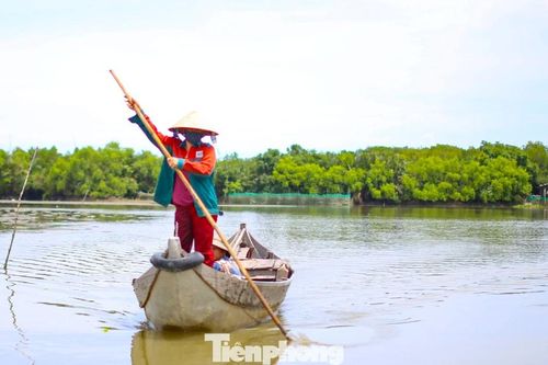 Tưởng ở 'sông nước miền Tây' hóa ra là đầm Thị Nại