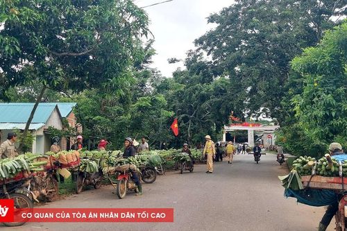 Đã có 'chợ chuối mới' sau vụ tai nạn nghiêm trọng ở Quảng Trị