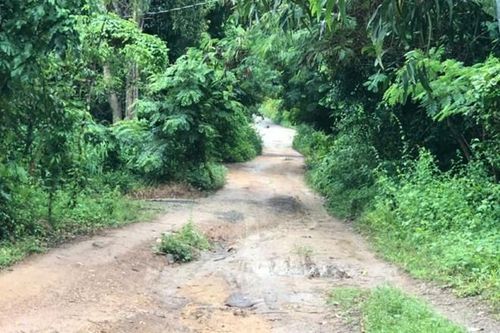 Nghi án con trai sát hại mẹ, chém trọng thương chị gái ở TPHCM