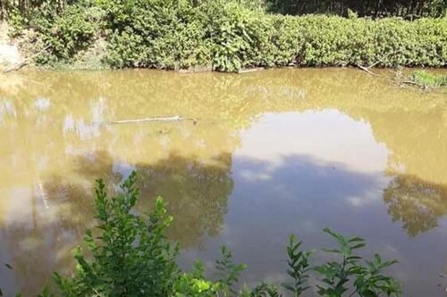 Phát hiện thi thể bé gái dưới ao sau gần nửa ngày mất tích