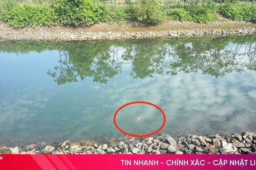 Phát hiện thi thể một người đàn ông trên sông Trí