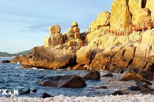 Chiêm ngưỡng vẻ đẹp độc đáo của bãi đá san hô cổ hóa thạch ở Hang Rái