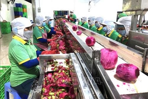 Đề xuất giải pháp thực hiện mục tiêu tăng trưởng hai con số