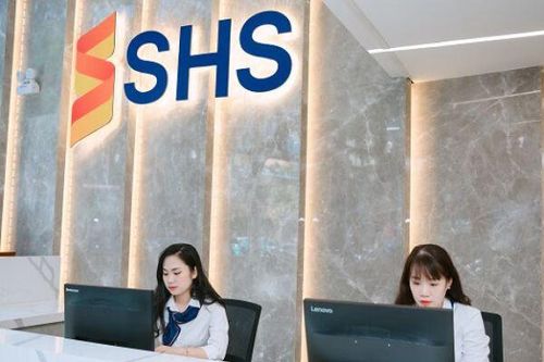 SHS không bán 20 triệu cổ phiếu SHB như đăng ký