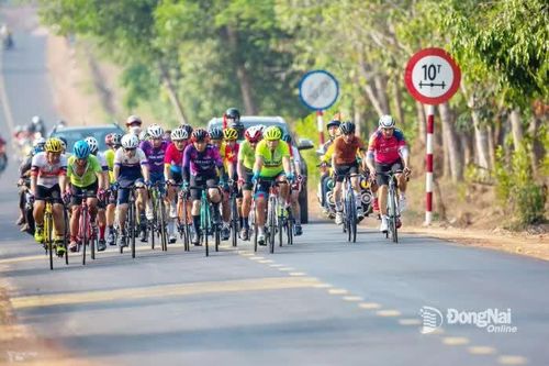 Khai thác kinh tế xanh từ diện tích rừng lớn nhất miền Nam