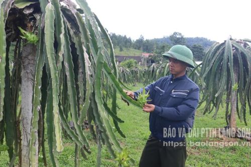 Điềm He khởi sắc