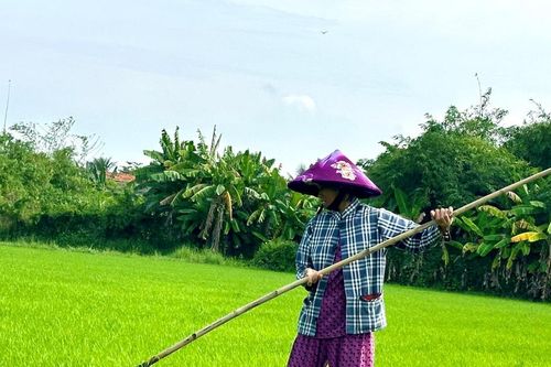 Bảo đảm cấp nước sản xuất vụ mùa năm 2025