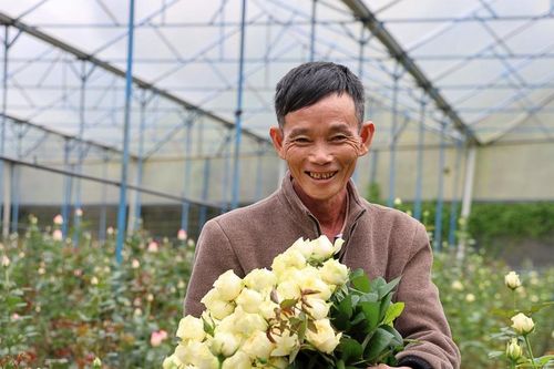 Khát vọng làm giàu từ nghề trồng hoa của người lính Cụ Hồ
