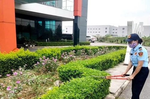 Tăng trưởng xanh để phát triển bền vững