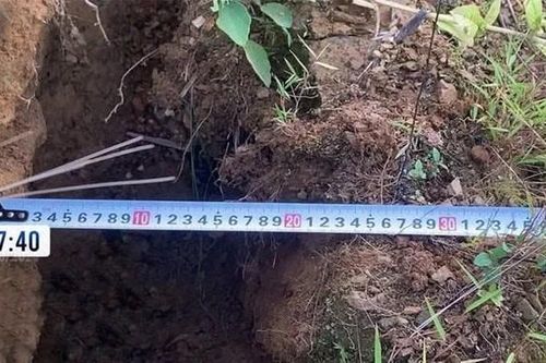 Xuất hiện vết nứt dài 100 m trên núi, đe dọa an toàn giao thông Quốc lộ 6 qua xã Pà Cò