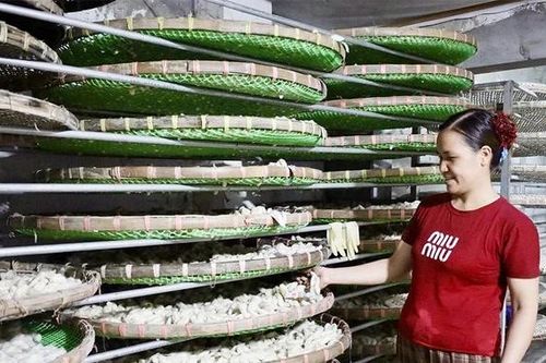 Đẩy mạnh phát triển nông nghiệp theo hướng sản xuất hàng hóa