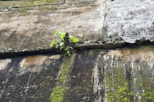 Tường chắn ta luy dương đèo Măng Đen nguy cơ đổ sập