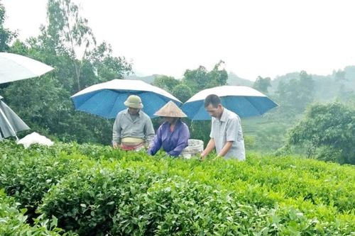 Ban hành chuẩn nghèo đa chiều, hướng tới phát triển bền vững và toàn diện