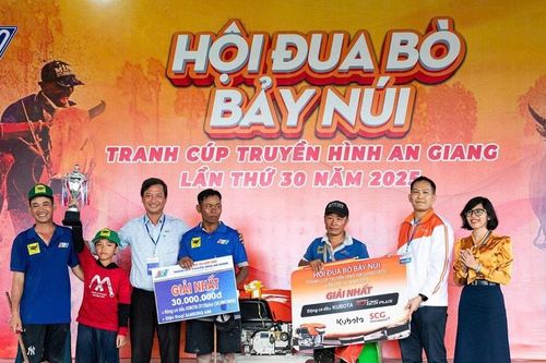 Bình Điền tự hào đồng hành cùng Hội Đua bò Bảy Núi