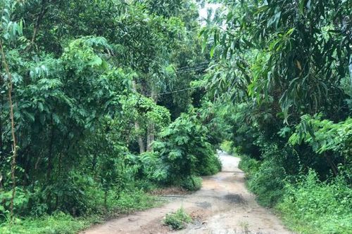 Điều tra vụ con trai dùng dao sát hại mẹ, chém gây thương tích chị gái của mình