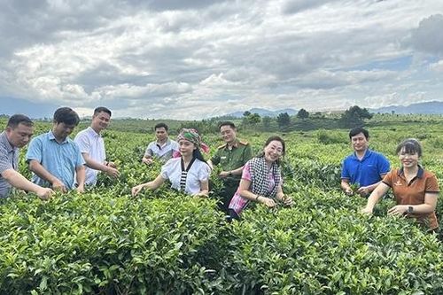 'Tuần Du lịch - Văn hóa và Giải Marathon Lai Châu lần thứ II, năm 2025' diễn ra từ ngày 3-5/10