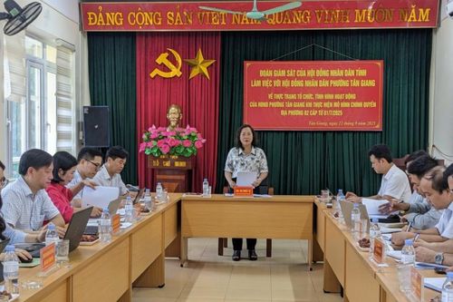 Phó Chủ tịch HĐND tỉnh Hà Nhật Lệ khảo sát hoạt động HĐND phường Tân Giang