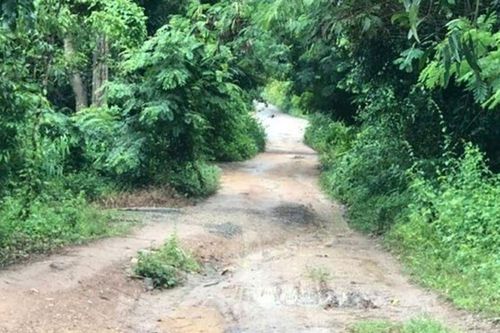 Vụ con trai sát hại mẹ, chém trọng thương chị gái ở TP.HCM: Nghi phạm là người thế nào?