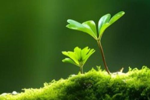 Ngày sinh Âm lịch của người khôn ngoan, hậu vận cực kì thịnh vượng