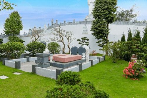 Đây là lý do bạn nên biết những cây không nên trồng ở mộ