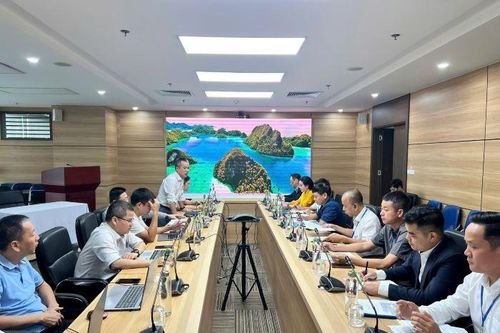 EVNPMB2 mời liên danh TNV & Partner đàm phán giá gói thầu cung cấp than nhập khẩu cho dự án nhiệt điện Quảng Trạch I