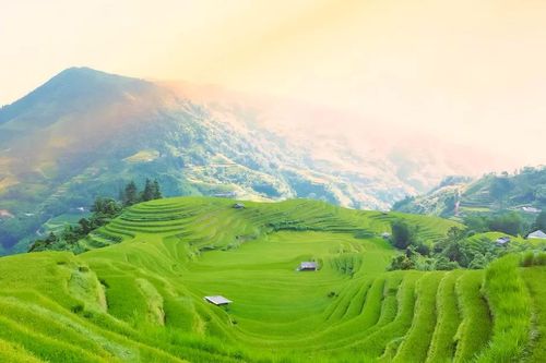 Hoàng Su Phì vào mùa vàng - Bức tranh núi rừng mê hoặc lòng người