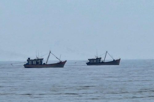 Tàu giã cào 'càn quét' ven biển Quảng Bình (Thanh Hóa): Ngư dân lao đao, biển cạn kiệt