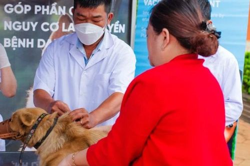 Tăng cường bảo đảm phúc lợi động vật qua công cụ báo cáo trực tuyến