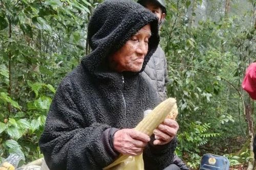 Huy động 150 người tìm người đàn ông gần 80 tuổi đi lạc trong rừng 6 ngày