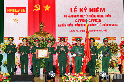 Trung đoàn 3 (Sư đoàn 9) đón nhận Huân chương Bảo vệ Tổ quốc hạng Ba