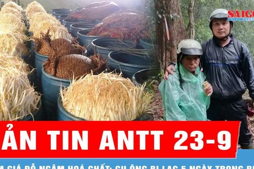 Bản tin ANTT 23-9: Đường dây làm giá đỗ ngâm hóa chất; Tìm thấy cụ ông bị lạc 5 ngày trong rừng