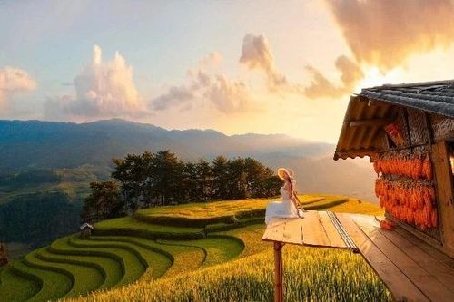 Đồi Móng Ngựa 'tọa độ' ngắm mùa lúa chín siêu thực ở Mù Cang Chải