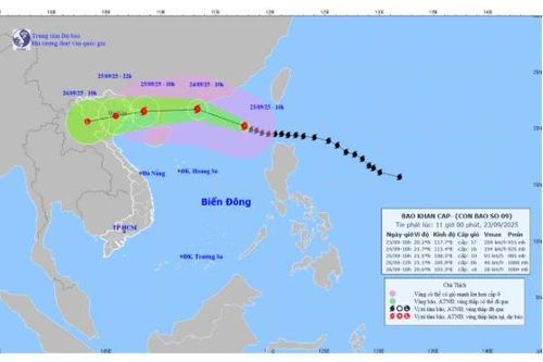 Hải Phòng đình hoãn các cuộc họp chưa cần thiết, ứng phó siêu bão Ragasa